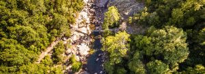 Balagne Forêt de Bonifato